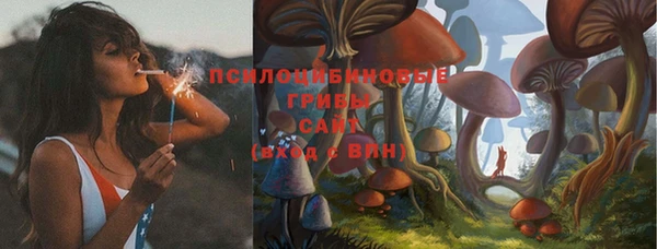 мяу мяу мука Няндома